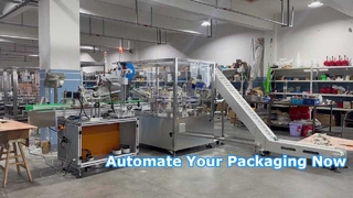 Encartonneuse rotative verticale ZH100